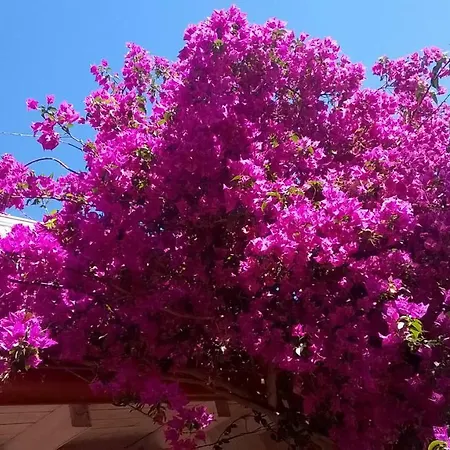 Bed & Breakfast Facile Costa Rei