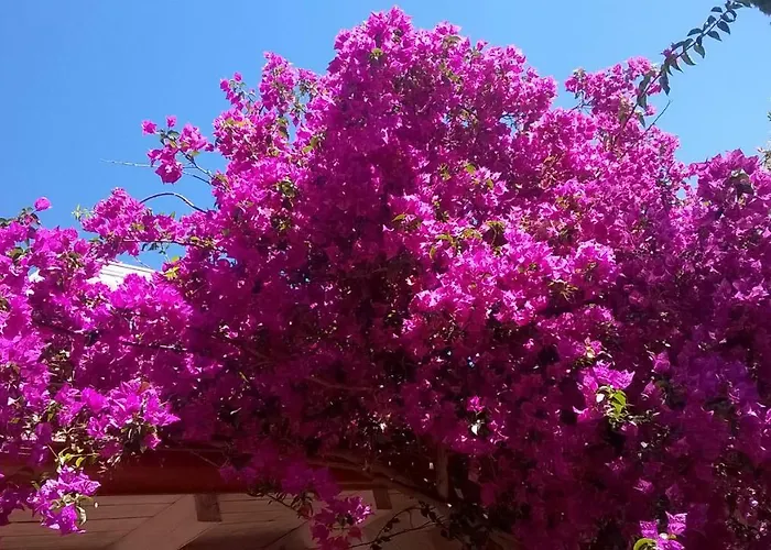 Bed & Breakfast Facile Costa Rei